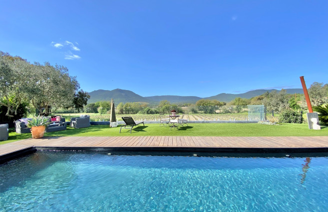 contemporary villa with vineyard view and tower plan