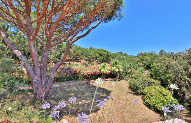 landscaped outdoor spaces - Mediterranean - Ramatuelle property