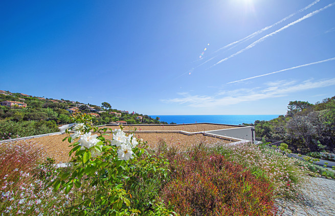 Mediterranean lifestyle - contemporary villa