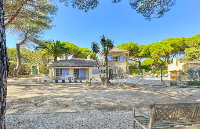 boules court - Provençal game - shade - umbrella pines