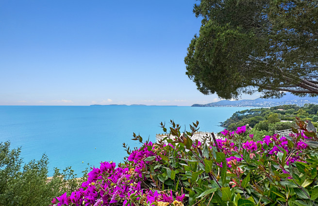 beachfront property in Cap Lardier, French Riviera