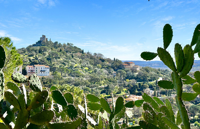 castle view, nature, hills, unobstructed view, Grimaud real estate