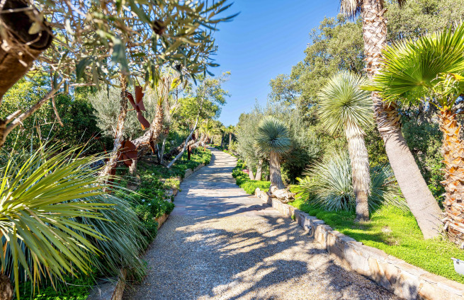 Allée-paysagée-entrée-villa-luxe-gigaro