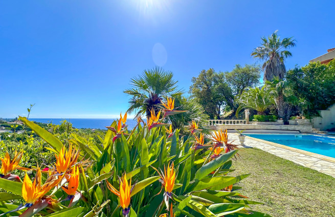 garden-flower-provence-villa-la-nartelle