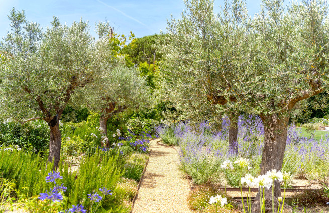 landscaped garden provence var grimaud