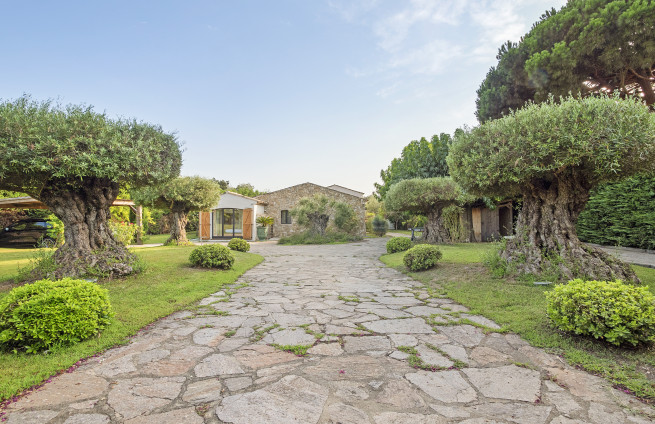 jardin-mediterraneen-oliviers-lavande