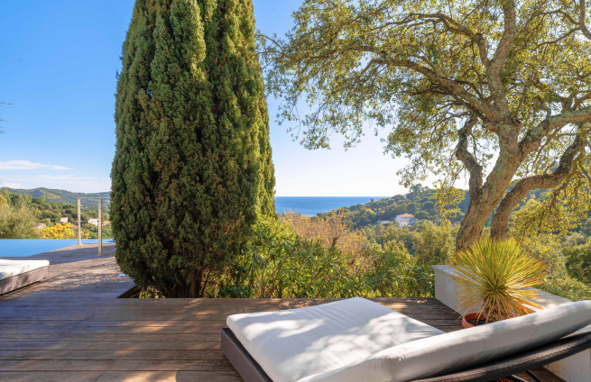 Exterior of a Mediterranean villa with a garden of olive trees and pine trees