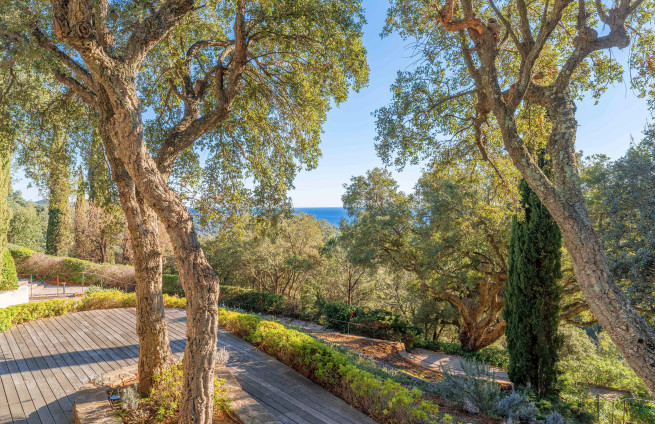 Mediterranean landscaped garden - Gigaro