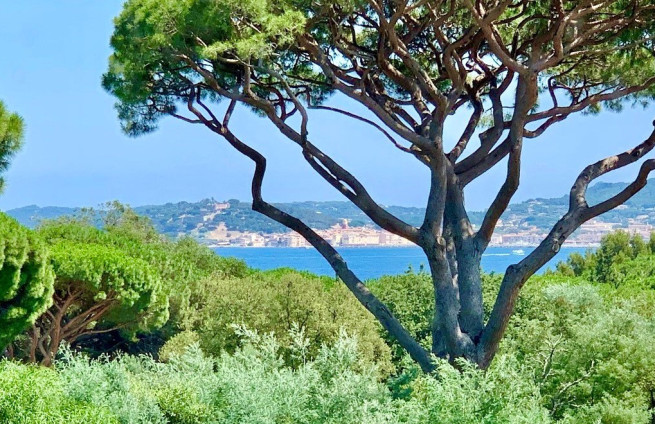 vue-saint-tropez-villa-luxe-à-vendre-beauvallon